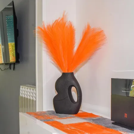 招待所 Mr Brown And 罗马